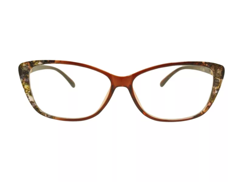 Berkeley lunettes pour ordinateur BB 1793 Brown 55
