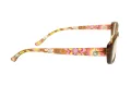Berkeley lunettes pour ordinateur BB 5093 C3 51