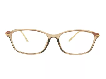 Berkeley lunettes pour ordinateur BB T5005 C4 55