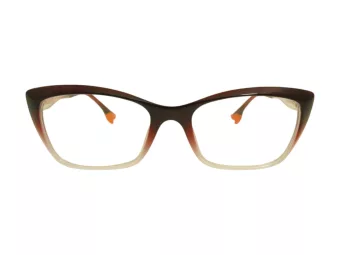 Berkeley lunettes pour ordinateur BB TR76013 C2 54