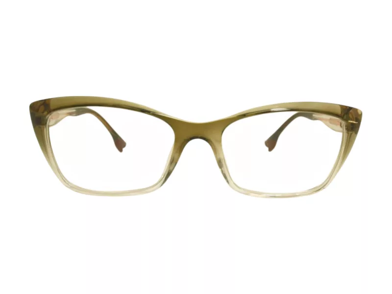 Berkeley lunettes pour ordinateur BB TR76013 C6 54