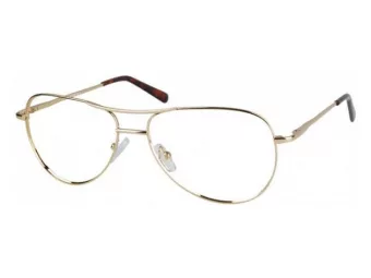 Berkeley lunettes pour ordinateur 699 B