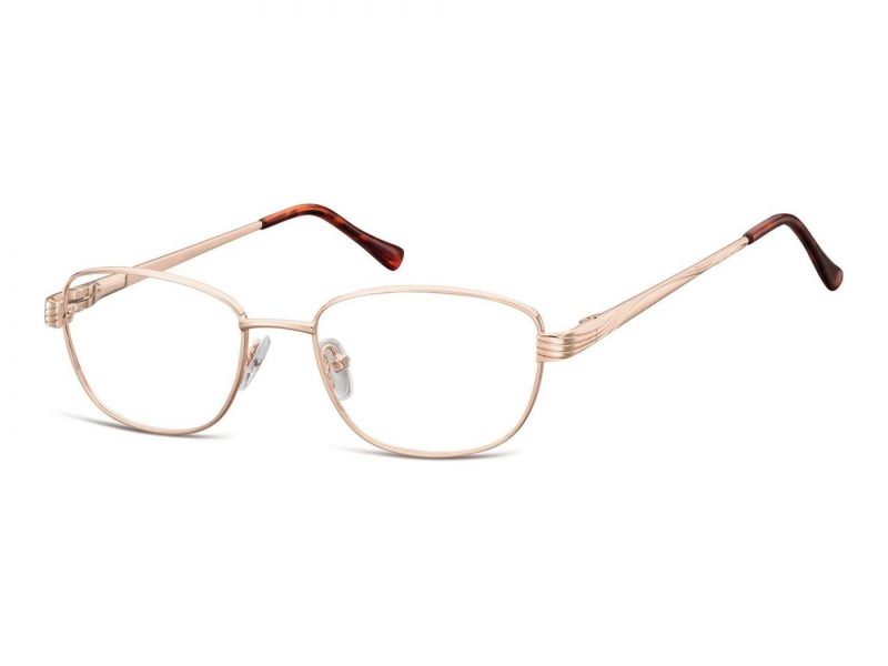 Berkeley lunettes pour ordinateur 796 C