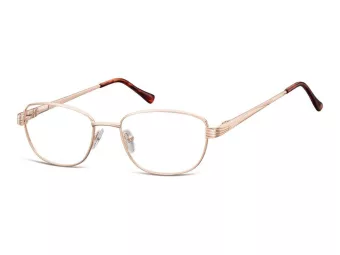 Berkeley lunettes pour ordinateur 796 C