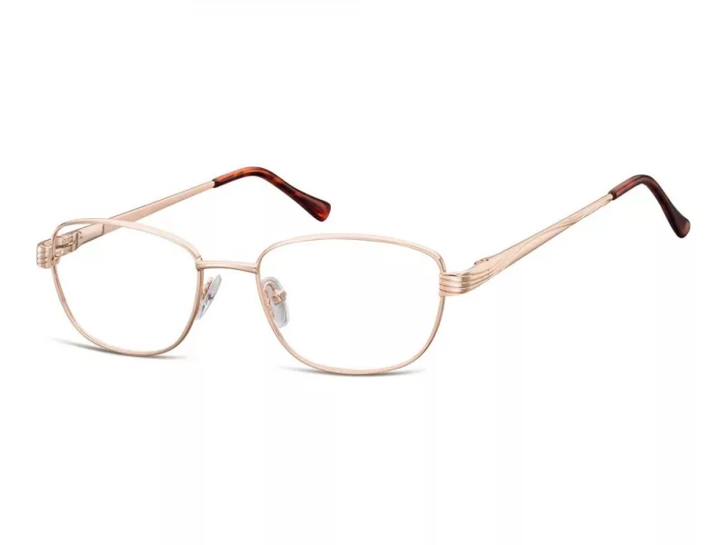 Berkeley lunettes pour ordinateur 796 C