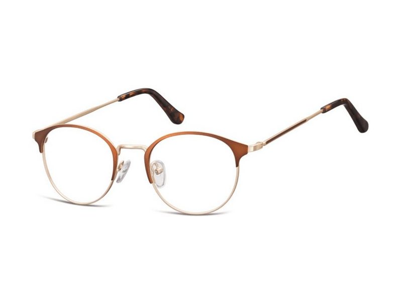 Berkeley lunettes pour ordinateur 973 D