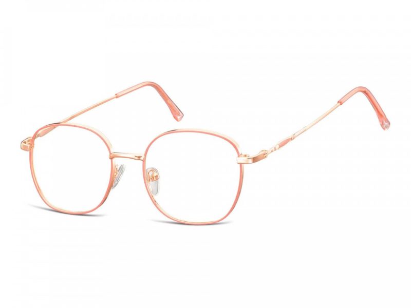 Berkeley lunettes pour ordinateur L125D
