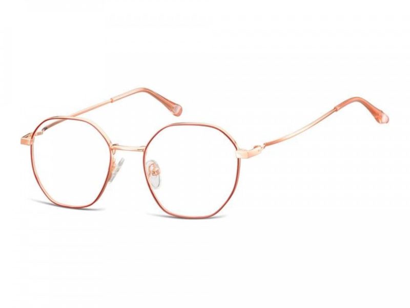 Berkeley lunettes pour ordinateur L126