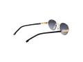 Carrera Lunettes de Soleil CA 1088/S RHL/9O