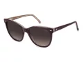 Carrera Lunettes de Soleil CA 3043/S 0T7/HA