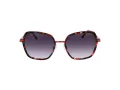 Comma Lunettes de Soleil COMMA 77178 47
