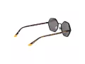Comma Lunettes de Soleil COMMA 77219 58