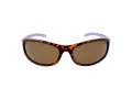 Champion Lunettes de Soleil CUW 5207 C02