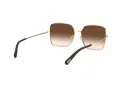 Dolce & Gabbana Lunettes de Soleil DG 2242 02/13