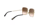 Dolce & Gabbana Lunettes de Soleil DG 2242 02/13