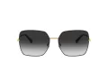 Dolce & Gabbana Lunettes de Soleil DG 2242 1334/8G