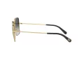 Dolce & Gabbana Lunettes de Soleil DG 2242 1334/8G