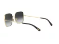 Dolce & Gabbana Lunettes de Soleil DG 2242 1334/8G