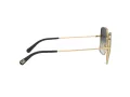 Dolce & Gabbana Lunettes de Soleil DG 2242 1334/8G