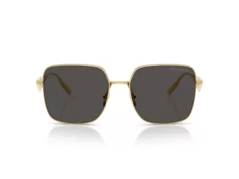 Dolce & Gabbana Lunettes de Soleil DG 2310 02/87