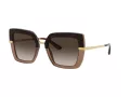 Dolce & Gabbana Lunettes de Soleil DG 4373 3256/13