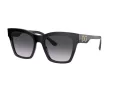 Dolce & Gabbana Lunettes de Soleil DG 4384 501/8G