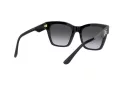 Dolce & Gabbana Lunettes de Soleil DG 4384 501/8G