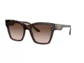 Dolce & Gabbana Lunettes de Soleil DG 4384 502/13