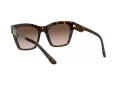 Dolce & Gabbana Lunettes de Soleil DG 4384 502/13