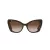 Dolce & Gabbana Lunettes de Soleil DG 4405 502/13