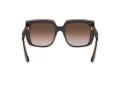 Dolce & Gabbana Lunettes de Soleil DG 4414 502/13