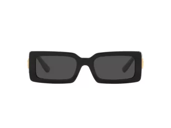 Dolce & Gabbana Lunettes de Soleil DG 4416 501/87
