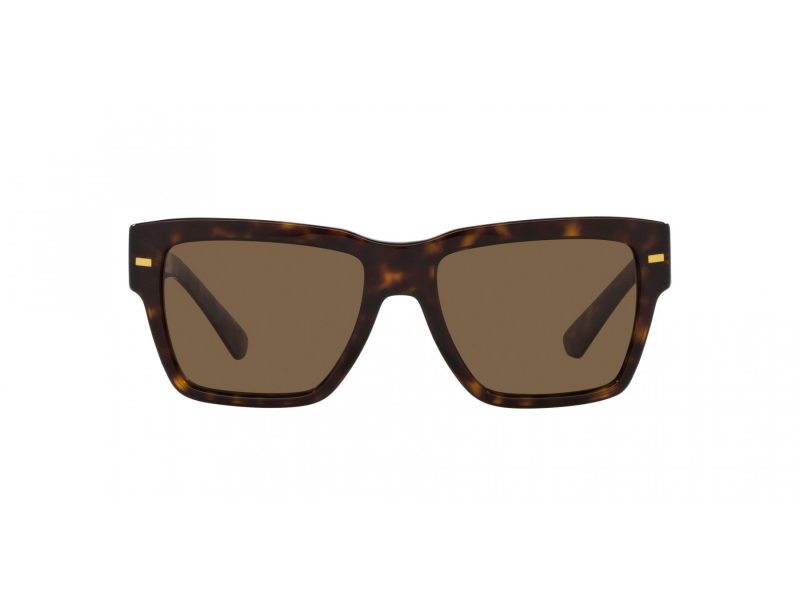 Dolce & Gabbana Lunettes de Soleil DG 4431 502/73