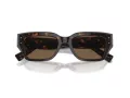 Dolce & Gabbana Lunettes de Soleil DG 4462 502/73