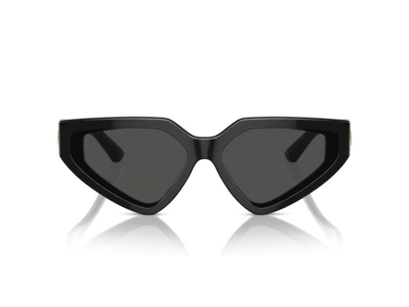 Dolce & Gabbana Lunettes de Soleil DG 4469 501/87