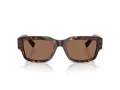 Dolce & Gabbana Lunettes de Soleil DG 4483 502/73