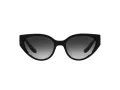 Dolce & Gabbana Lunettes de Soleil DG 6146 501/8G