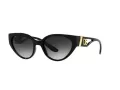 Dolce & Gabbana Lunettes de Soleil DG 6146 501/8G