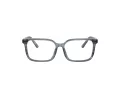 Dolce & Gabbana Kids Lunettes de Vue DX 3003 3482