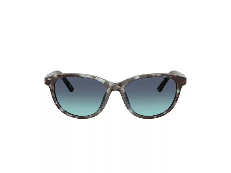 Dolce & Gabbana Kids Lunettes de Soleil DX 4010 34434S