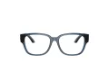 Dolce & Gabbana Kids Lunettes de Vue DX 5006 3009