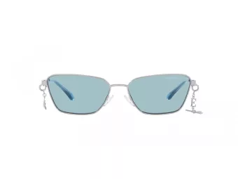 Emporio Armani Lunettes de Soleil 2141 301580