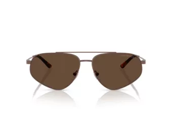 Emporio Armani Lunettes de Soleil EA 2156 300673