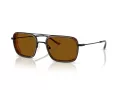 Emporio Armani Lunettes de Soleil EA 2162 300163