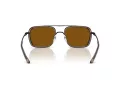 Emporio Armani Lunettes de Soleil EA 2162 300163