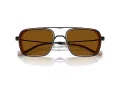 Emporio Armani Lunettes de Soleil EA 2162 300163