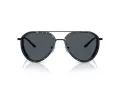 Emporio Armani Lunettes de Soleil EA 2163 300180