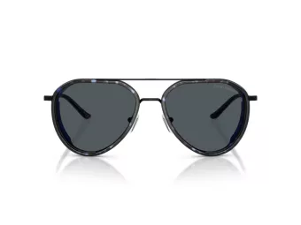 Emporio Armani Lunettes de Soleil EA 2163 300180