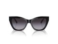 Emporio Armani Lunettes de Soleil EA 4176 50178G