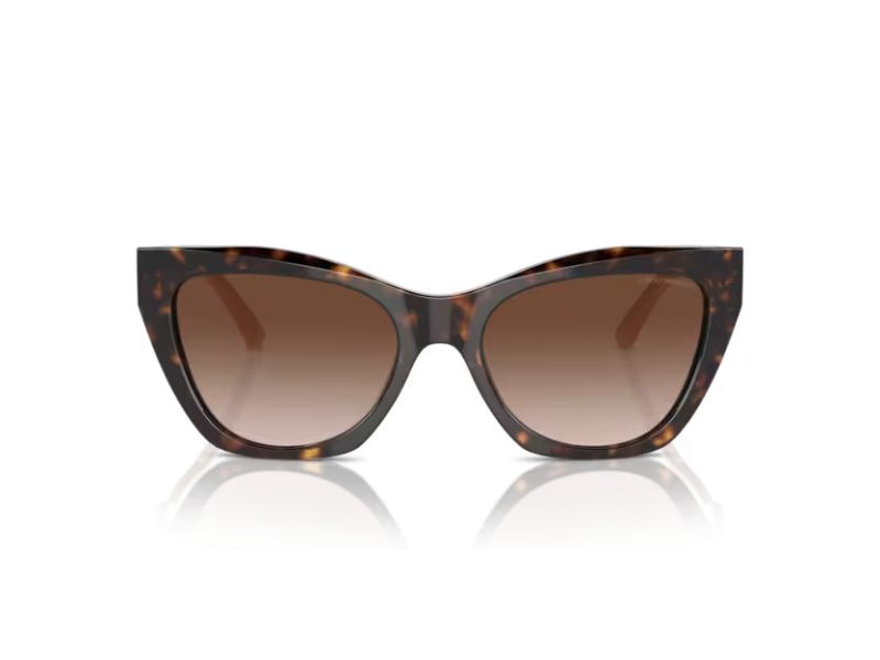Emporio Armani Lunettes de Soleil EA 4176 587913